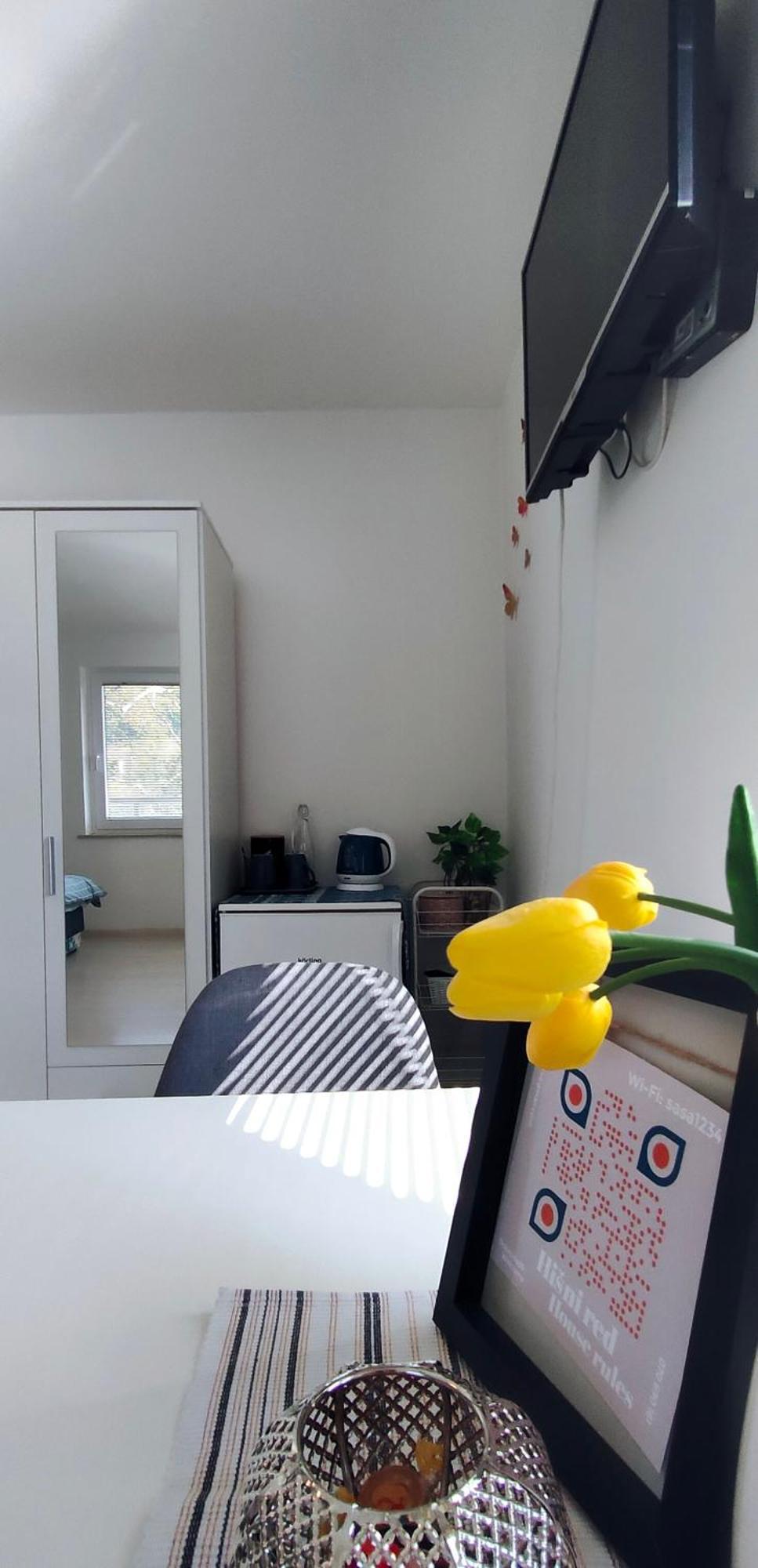 Apartments & Rooms Sasa Podcetrtek Room photo